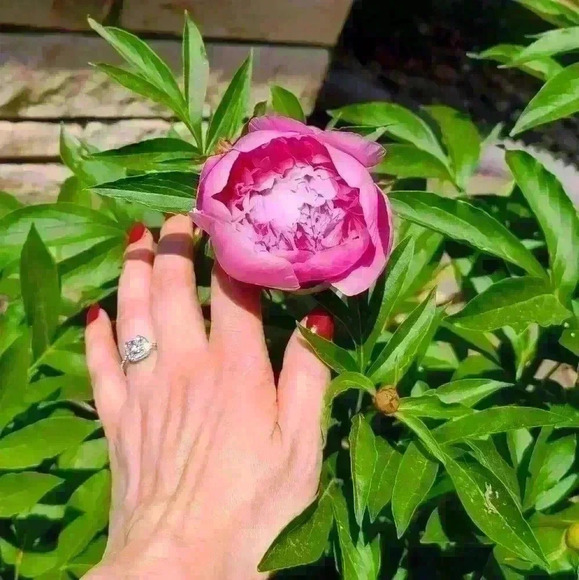 Ring Size 6 - Picture 13 of 16